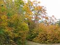 05102008 154047IMG1867